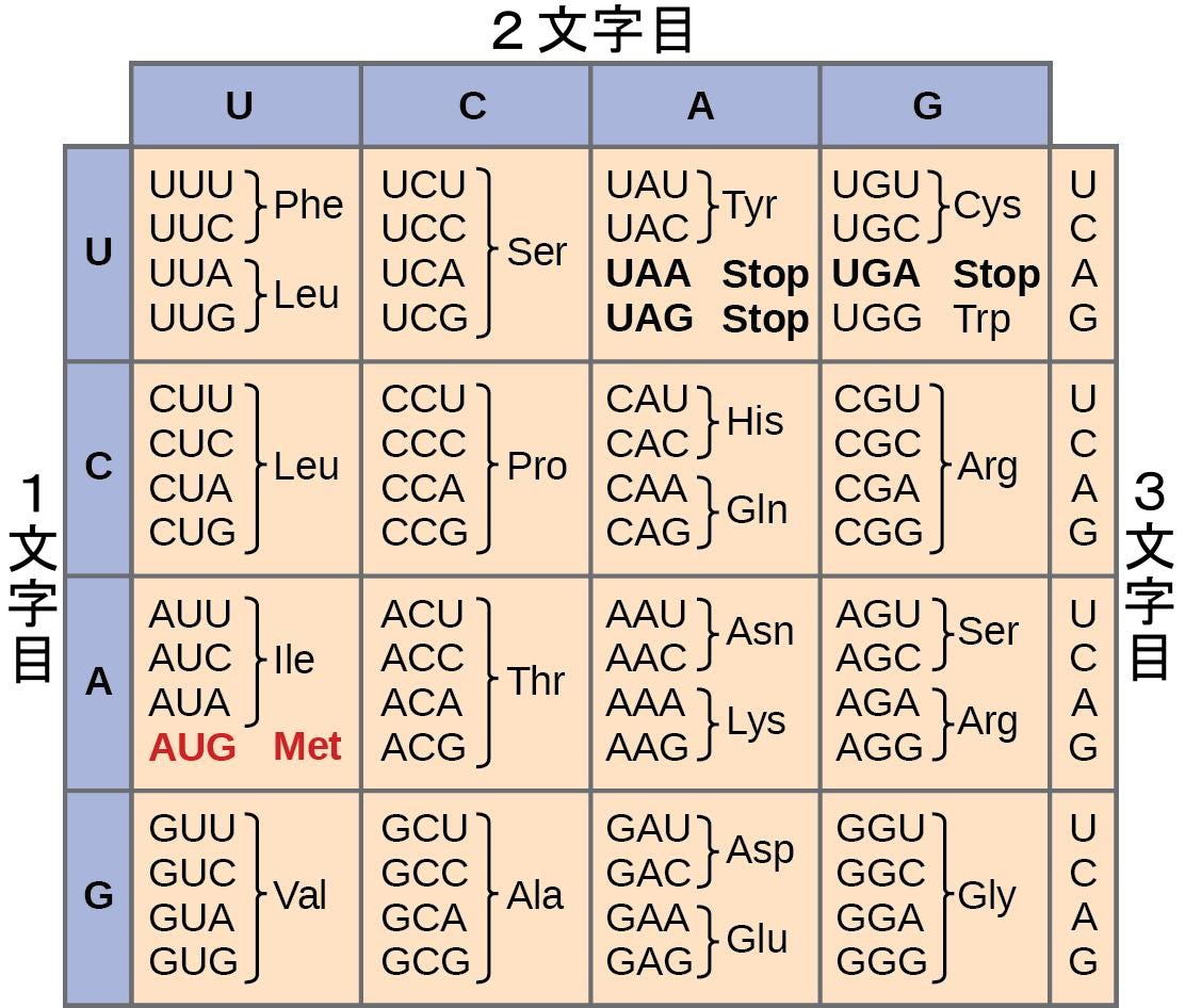 生物学 第2版 第15章 遺伝子とタンパク質 Japanese Translation Of Biology 2e By Better Late Than Never Medium