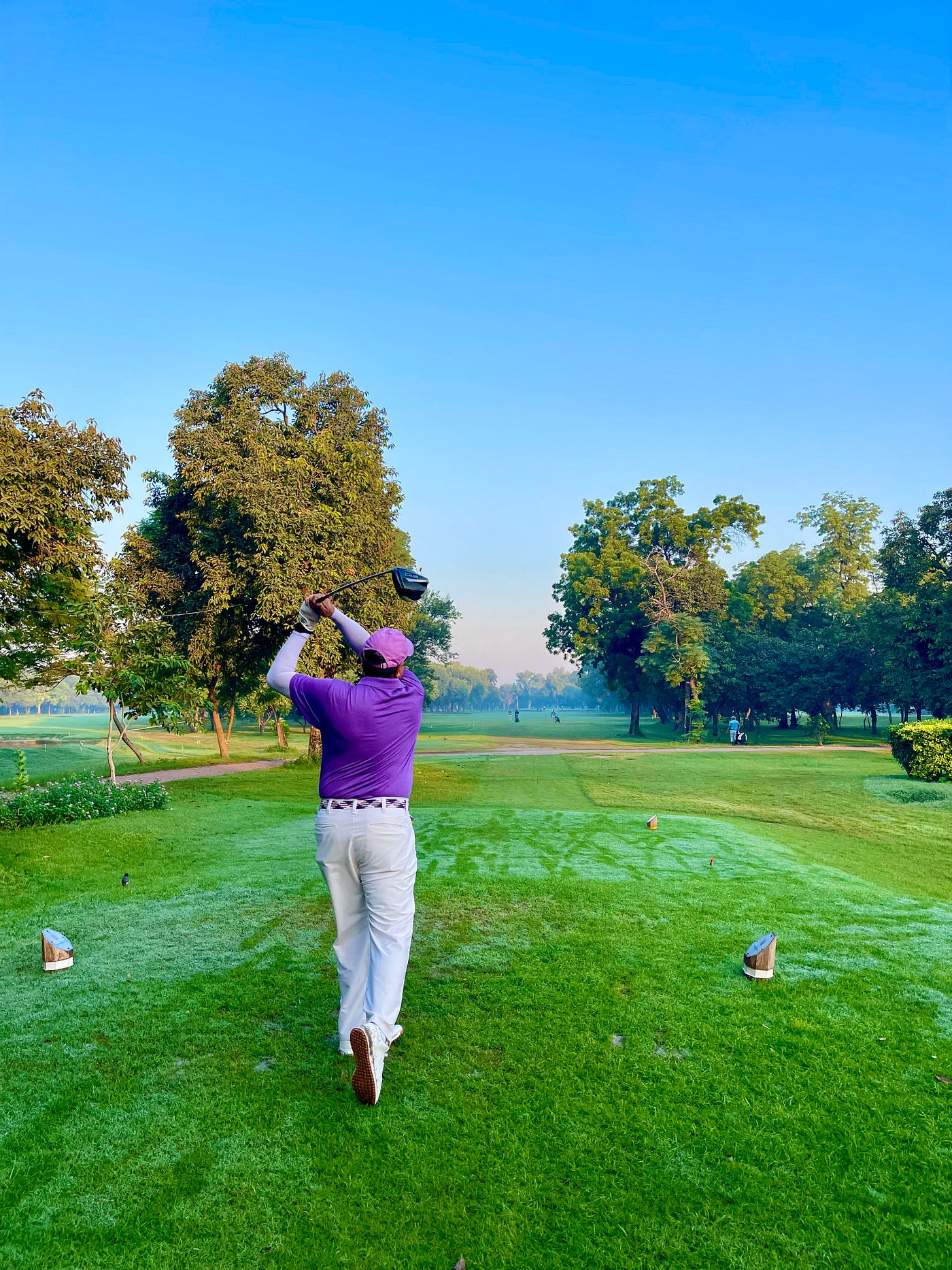Tree Swing to Golf Swings. “A golf swing is a collection of… | by Ahsan  Jamil | Medium