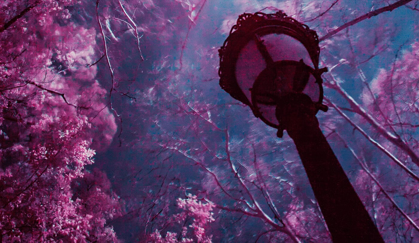 A facing-upwards image of an old fashioned lamp with some lit up trees in the background. The entire image is tinted purple.
