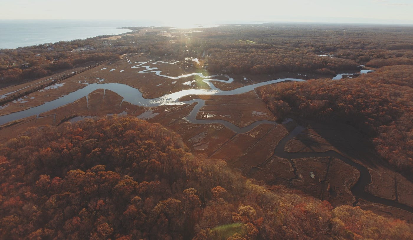 an aerial view of a waterway along the coast that winds through forest and wetlands