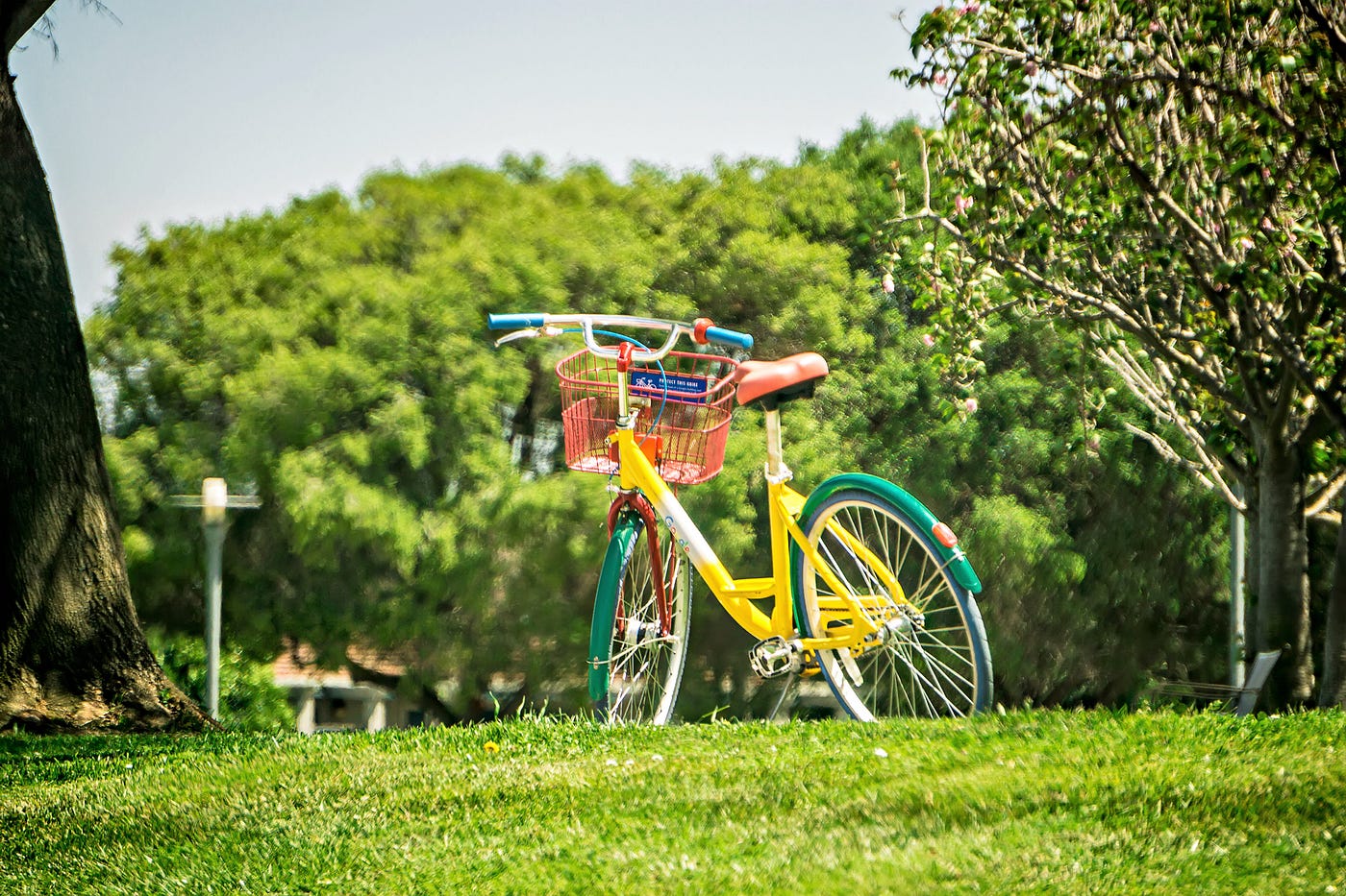 Summer bike. Google Bike.
