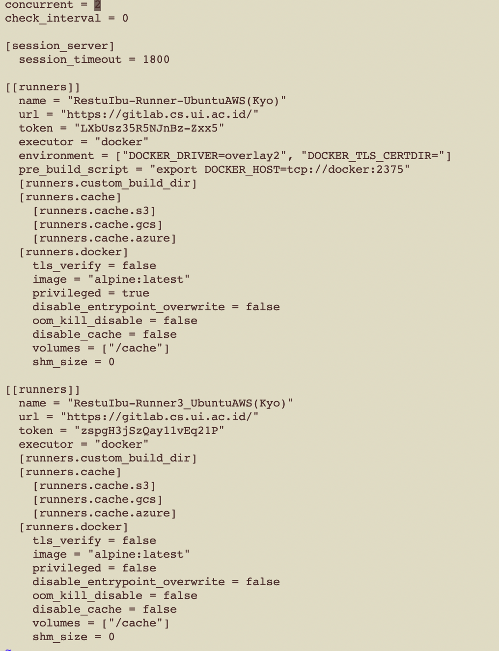 How to Create Your Own Gitlab Runner! | by Kyo | Medium