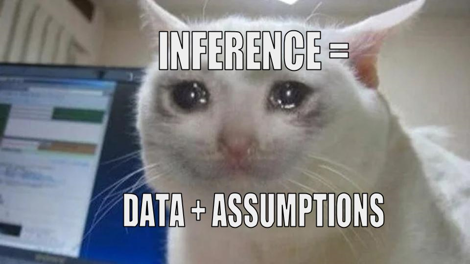 Sad cat meme with the text Inference = Data + Assumptions