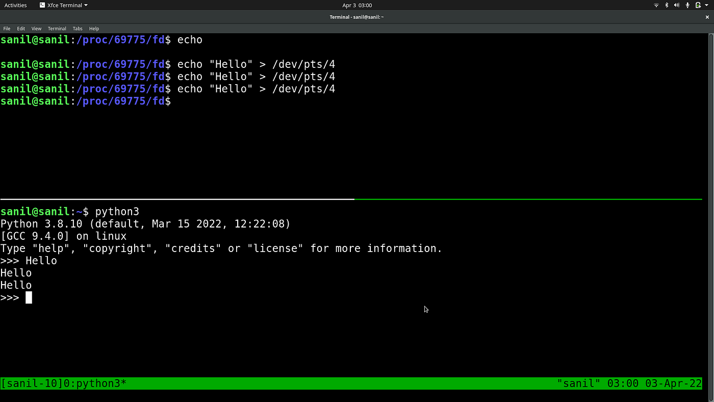 Developer Diaries Processes, Files, and File Descriptors in Linux by