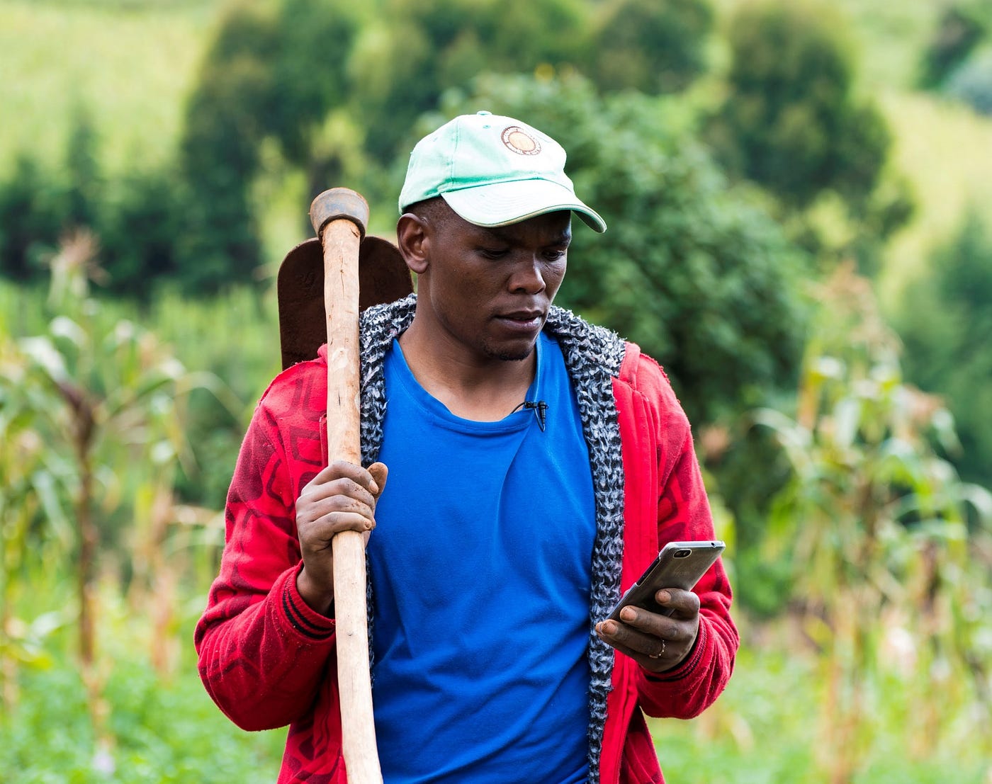 A small holder farmer uses the Agri-Wallet to help move produce and plan for the future.