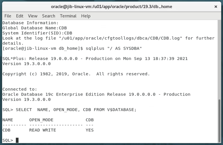 Oracle Database 19c Installation on Linux | by Jared Bach | Geek ...