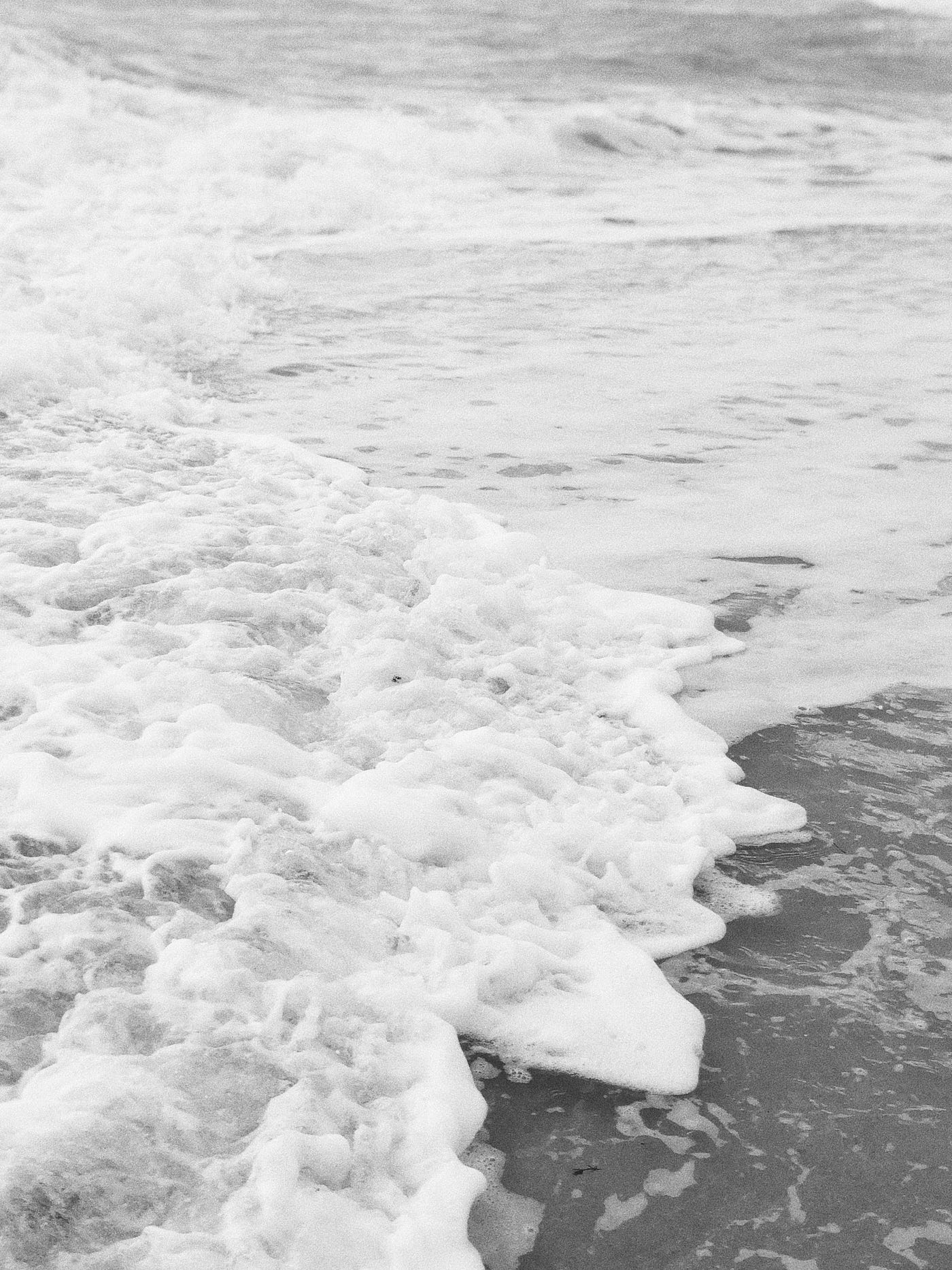 Photo by Pilar Gonzalez Prieto on Unsplash