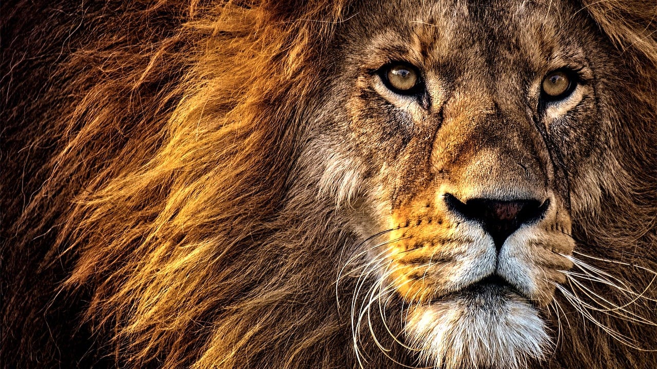 You Didn T Come This Far To Only Come This Far By Joseph Mavericks The Joseph Mavericks Blog Medium