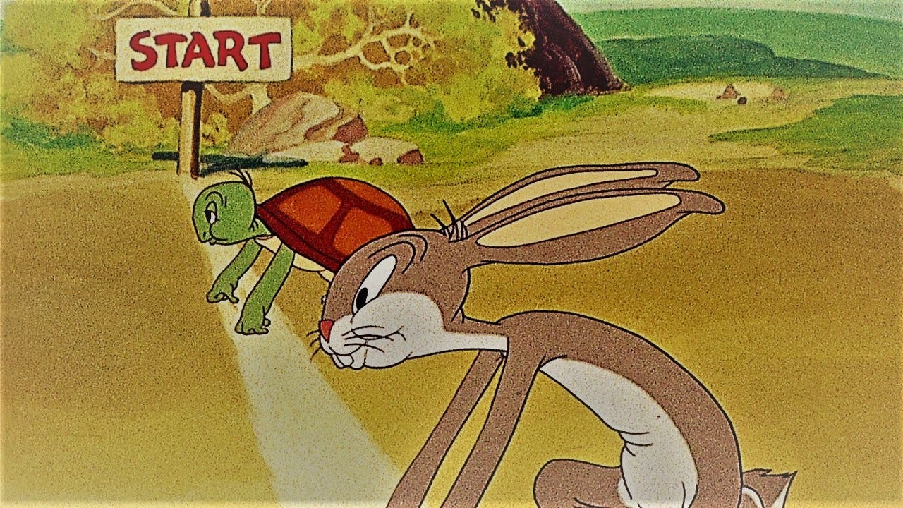 the-hare-and-the-tortoise-a-reflection-by-deep-mehta-medium