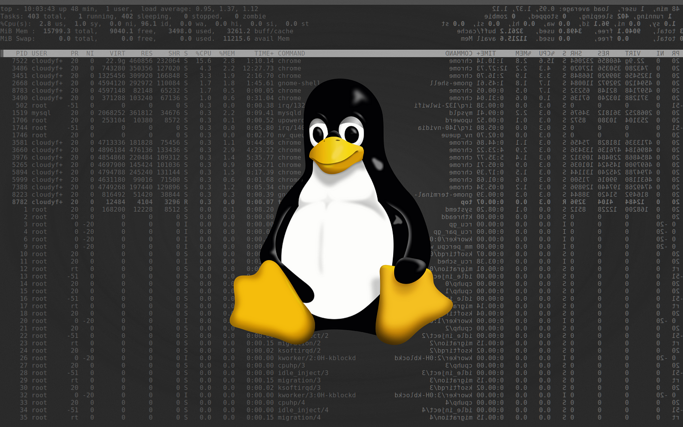Here are Top 5 Linux distros for developers in 2021! | by Kisan Tamang |  Dev Genius