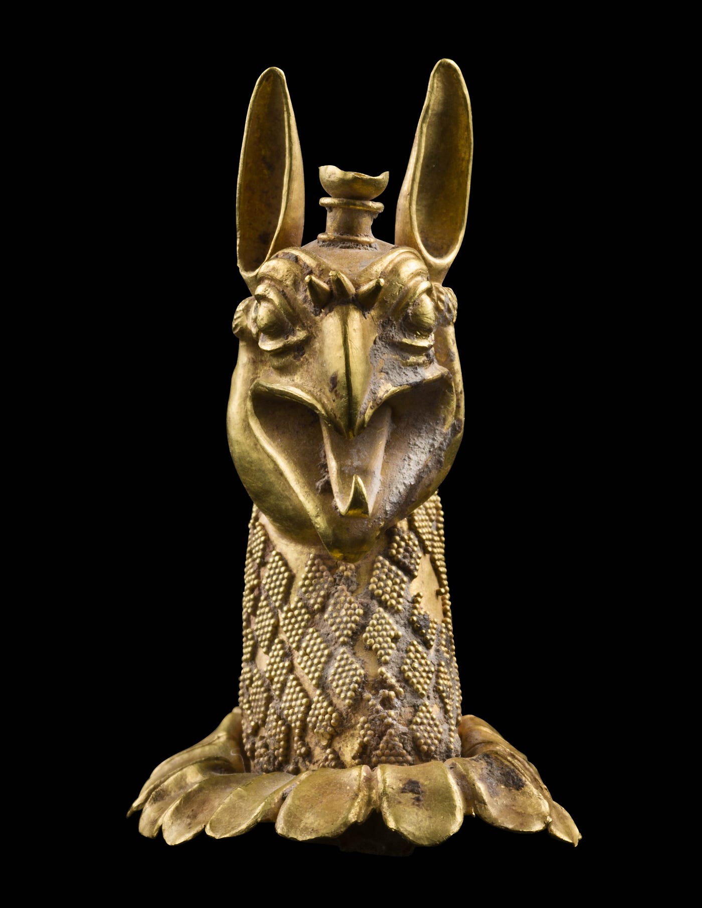 Hicham Aboutaam Griffin head On