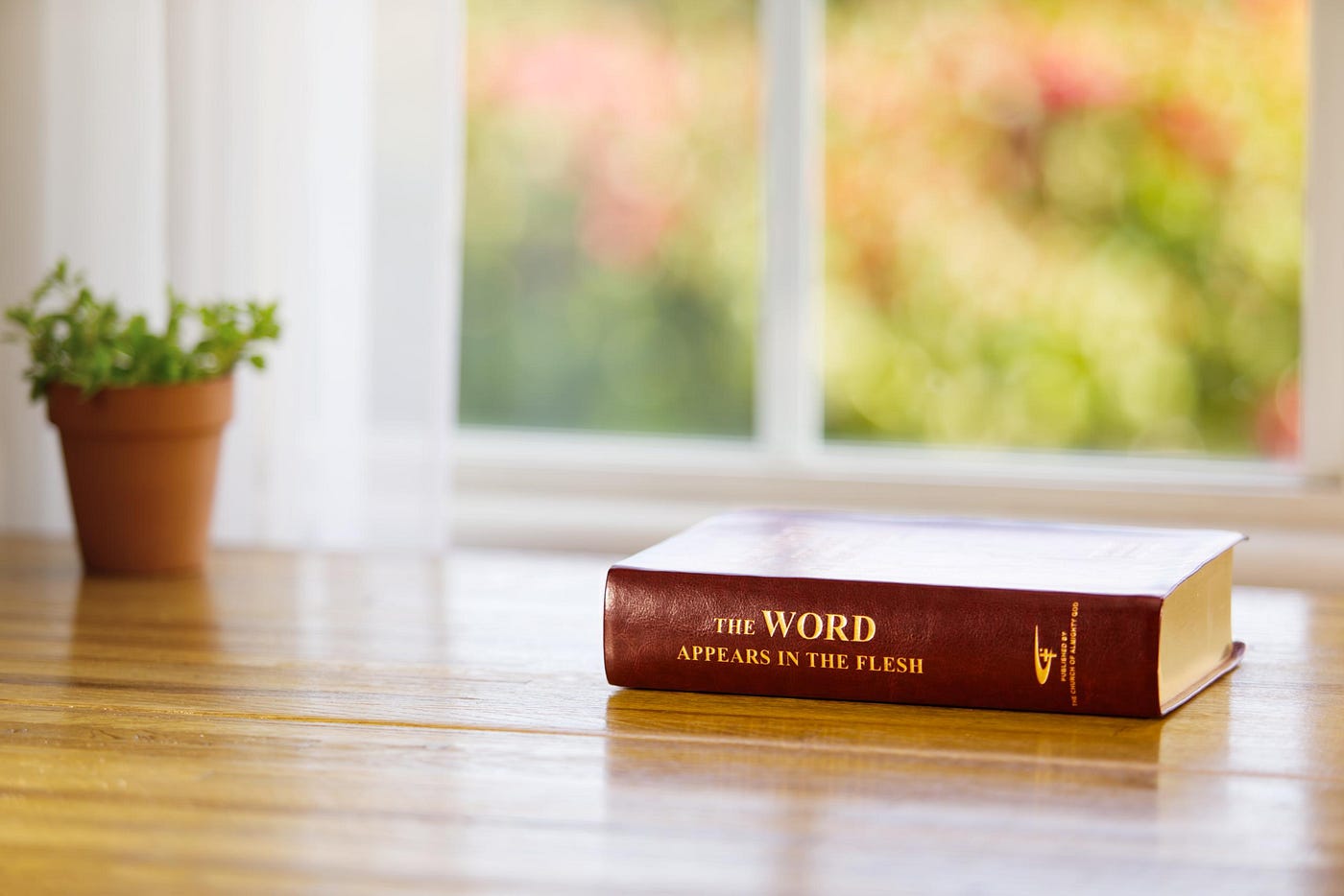 God’s word