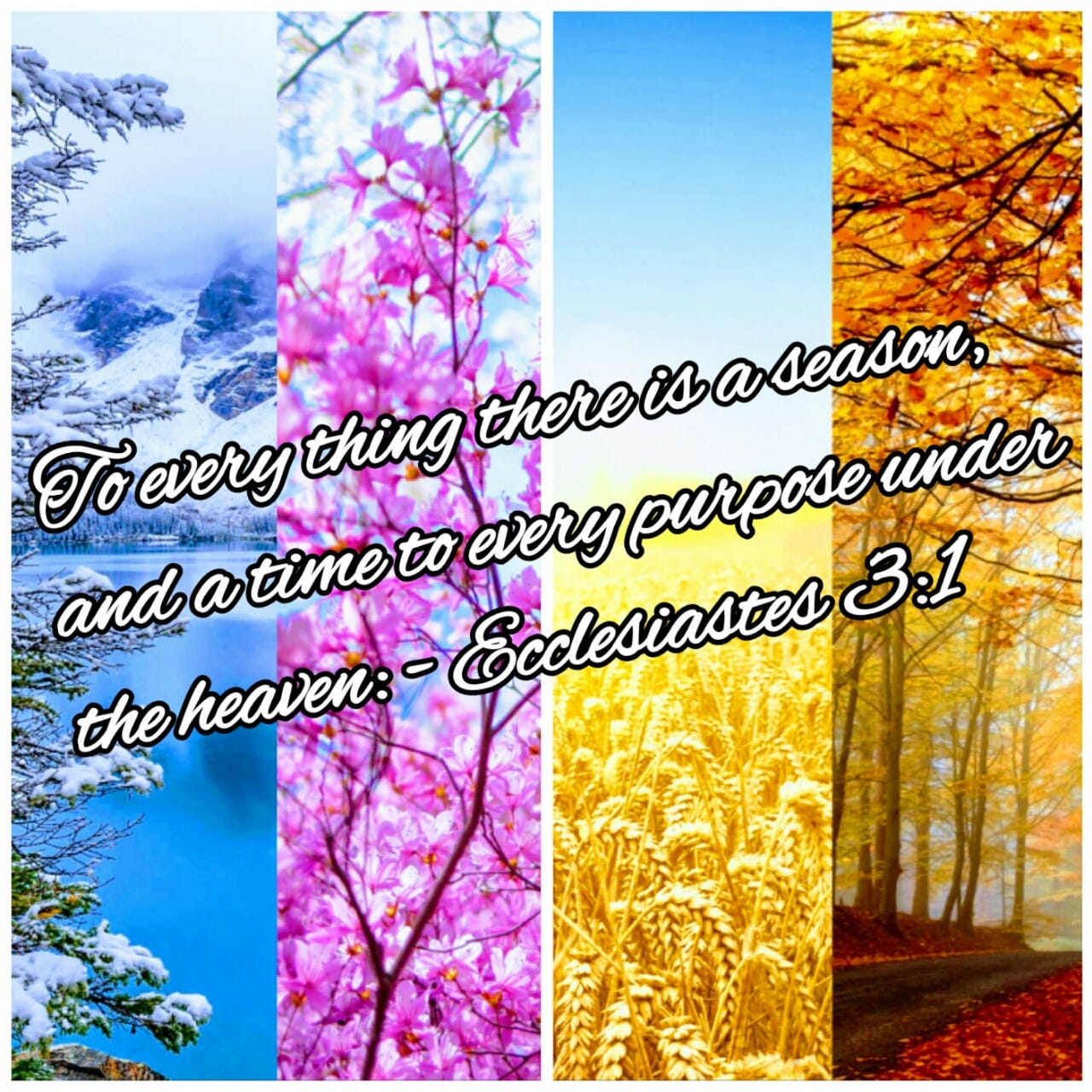 To Everything There Is A Season And A Time To Every Purpose Under The Heaven Ecclesiastes 3 1 By Keith Mcgivern Medium To Everything There Is A Season And A Time To Every Purpose Under The Heaven Ecclesiastes 3 1 By Keith Mcgivern Medium