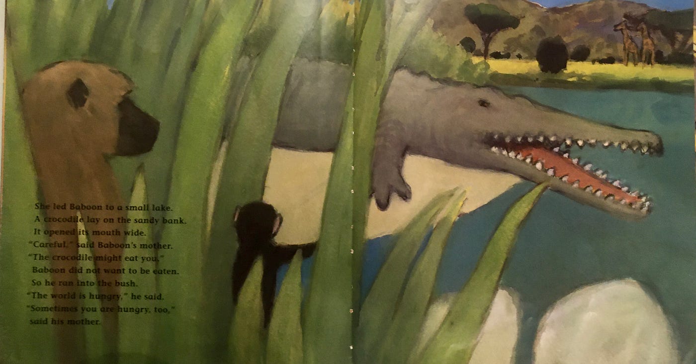 小小孩的大世界观 Bookseed 4 Baboon By Kate Banks And By Maggie Ma Medium
