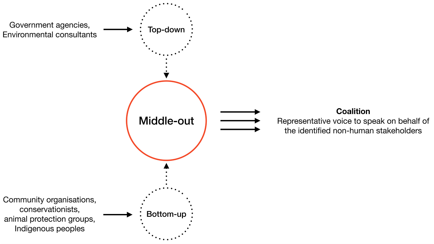 Diagram showing the middle-out approach with organisations from the top and from the bottom coming together in the middle to form a coalition that acts as representative voice to speak on behalf of the identified non-human stakeholders.