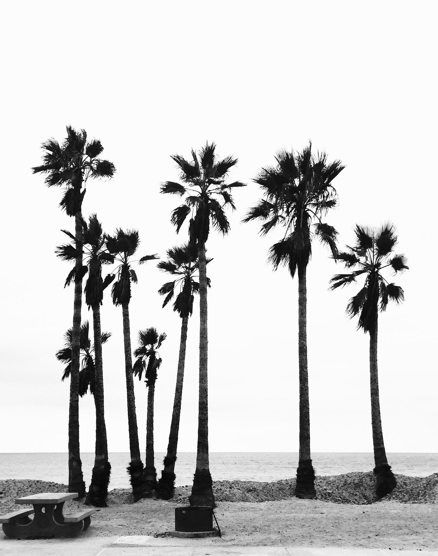 Black & White Beach Scenes. Along the southern California… | by Lindsay ...