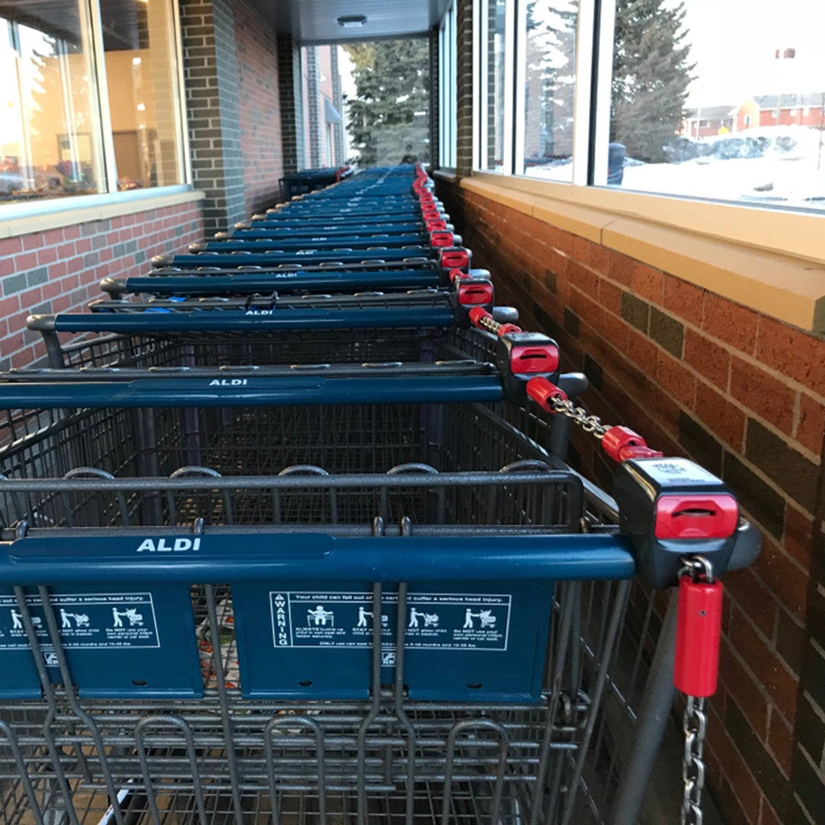 aldi utility cart