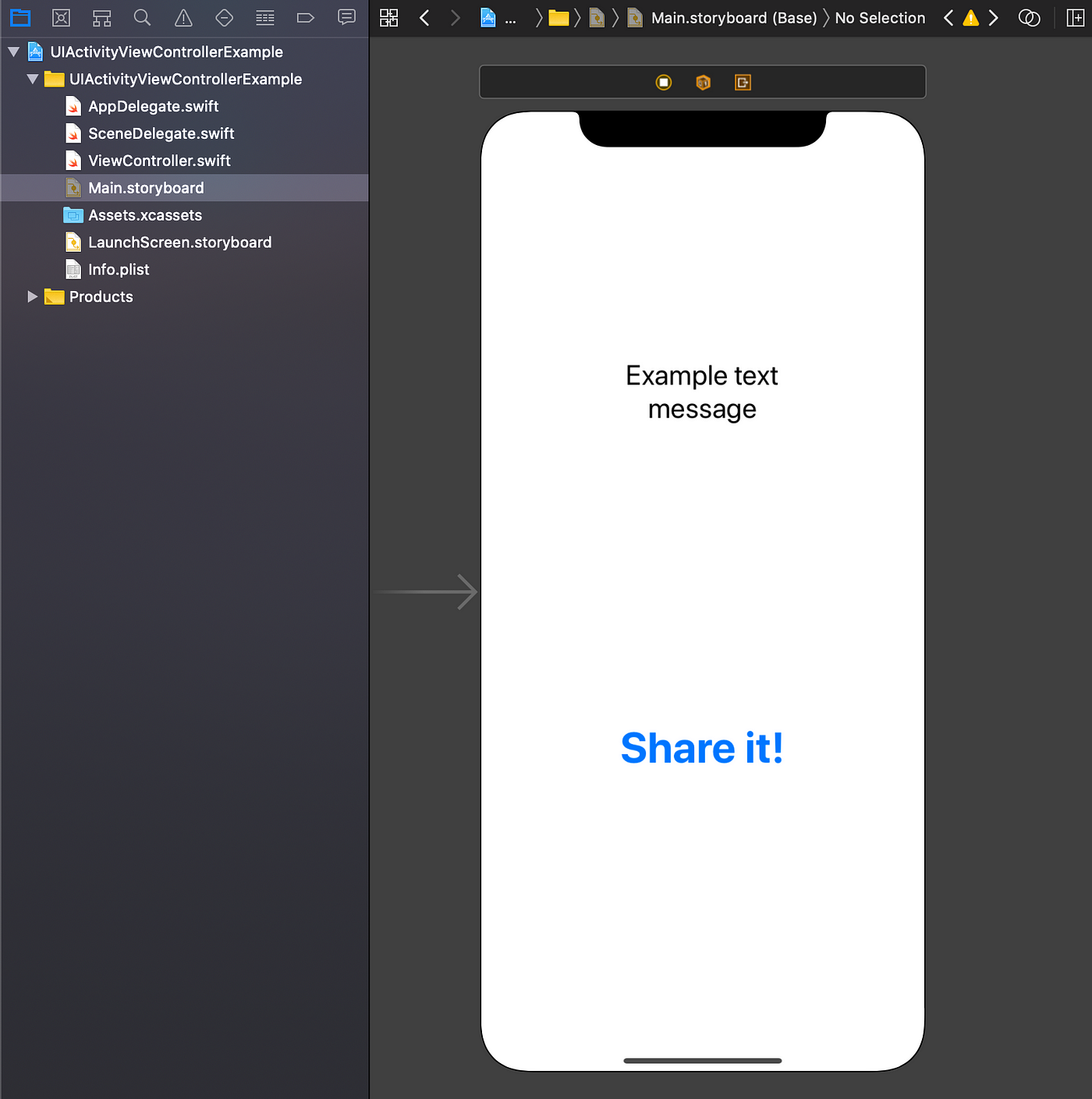 Xcode in share copy button App Extension