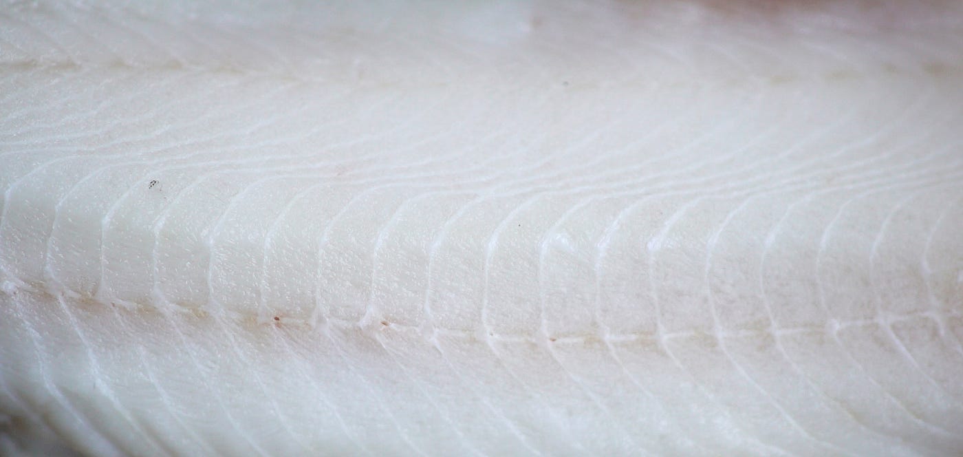 close-up of a sablefish fillet