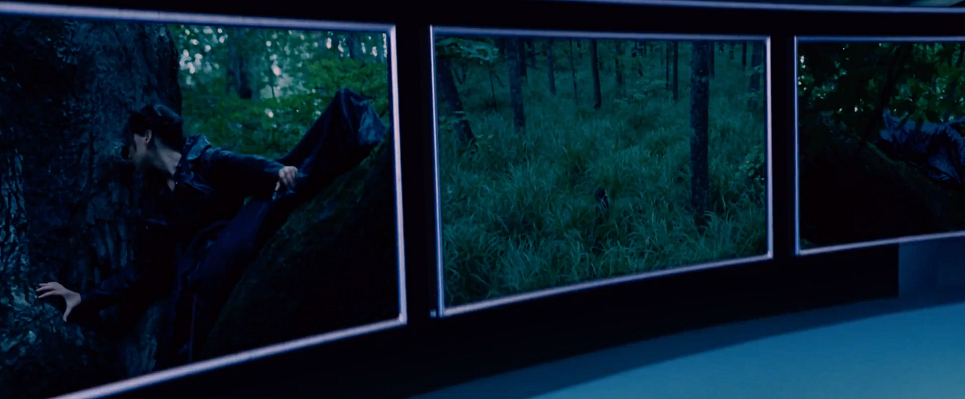 Governance, Surveillance and Panopticism in 'The Hunger Games' | by Els  Kenney | Medium