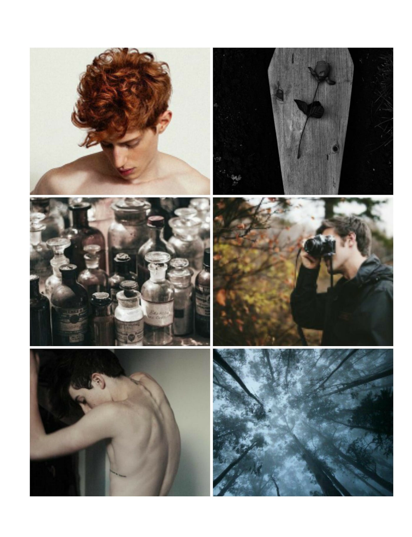 INFINITY SON. ADAM SILVERA | by wanderer with books | Medium