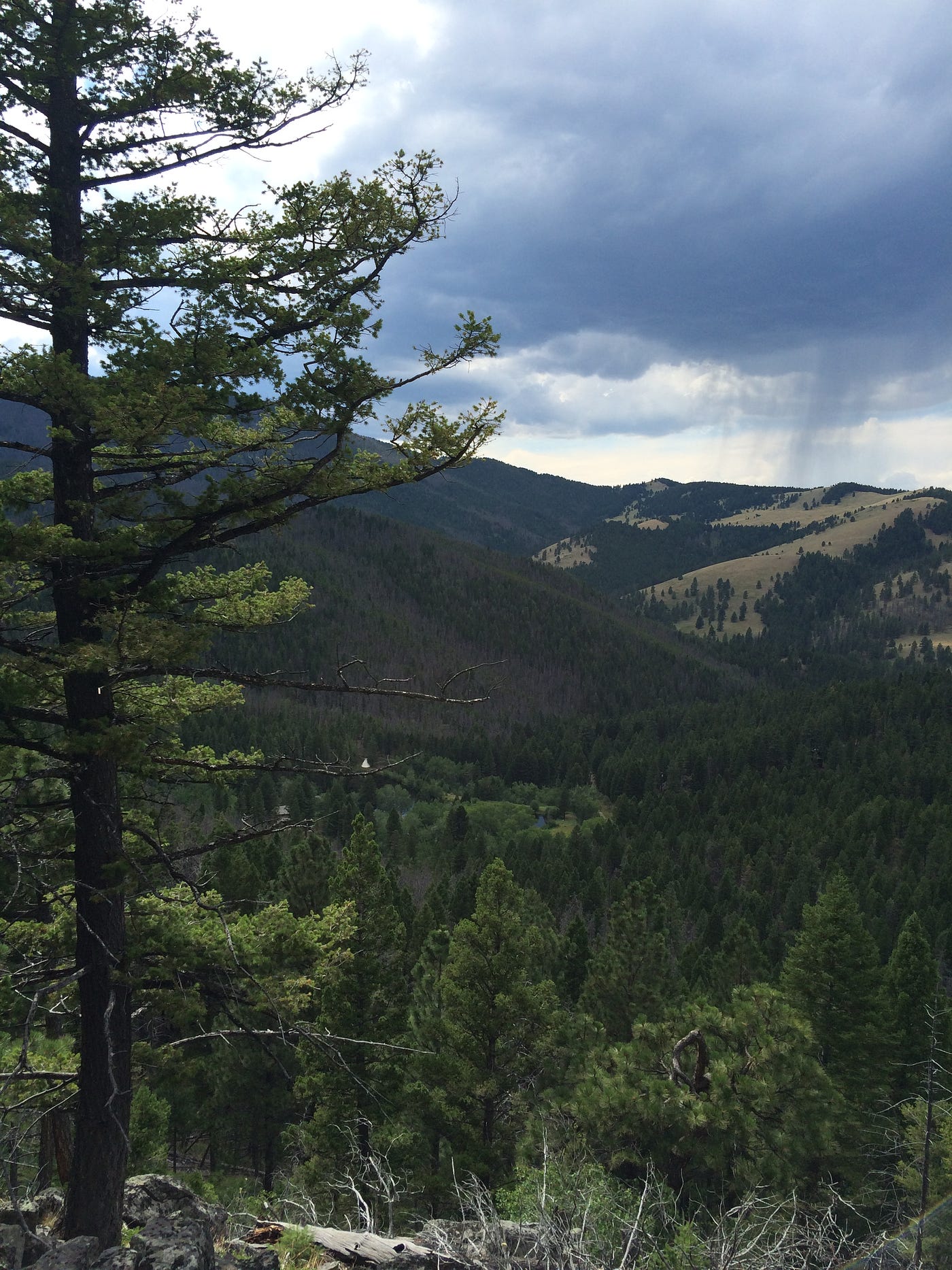 Fear of WideOpen Spaces, and Recognizing Life’s Fragility by Keri