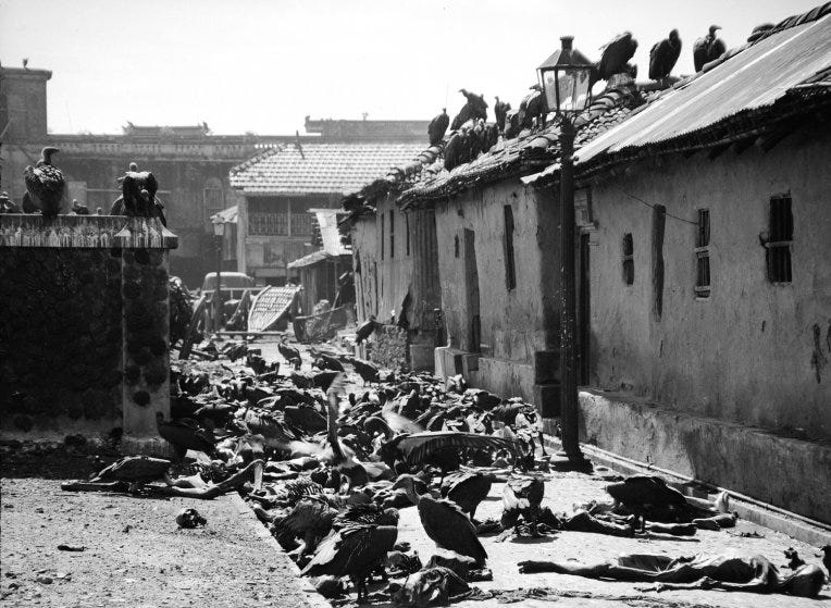 Aftermath of Jinnah’s Direct Action Day. Corpses lay strewn in Calcutta with vultures ready to feast on them.