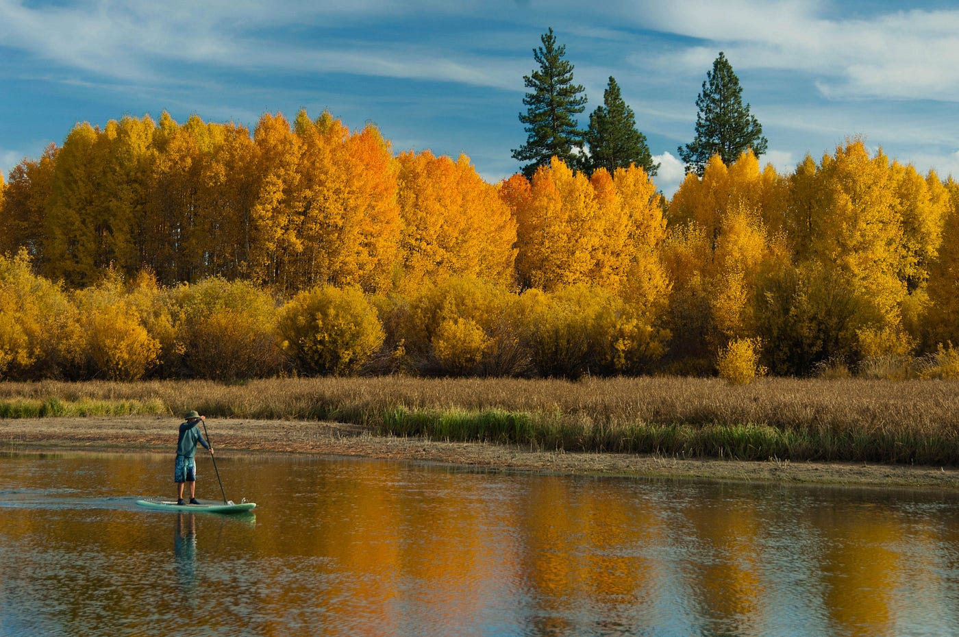 Balancing Water: The First Year Implementing The Deschutes Habitat ...