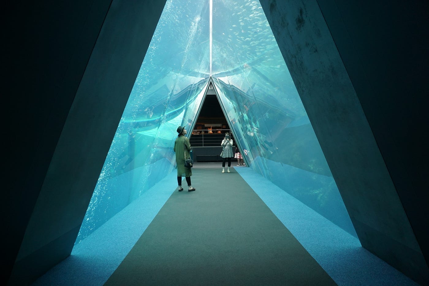 前進福島第一核電廠 四 福島的魚到底能不能吃 讓aquamarine Fukushima 環境水族館 告訴你 By Chang Yu Chieh 福島取材日記 Medium