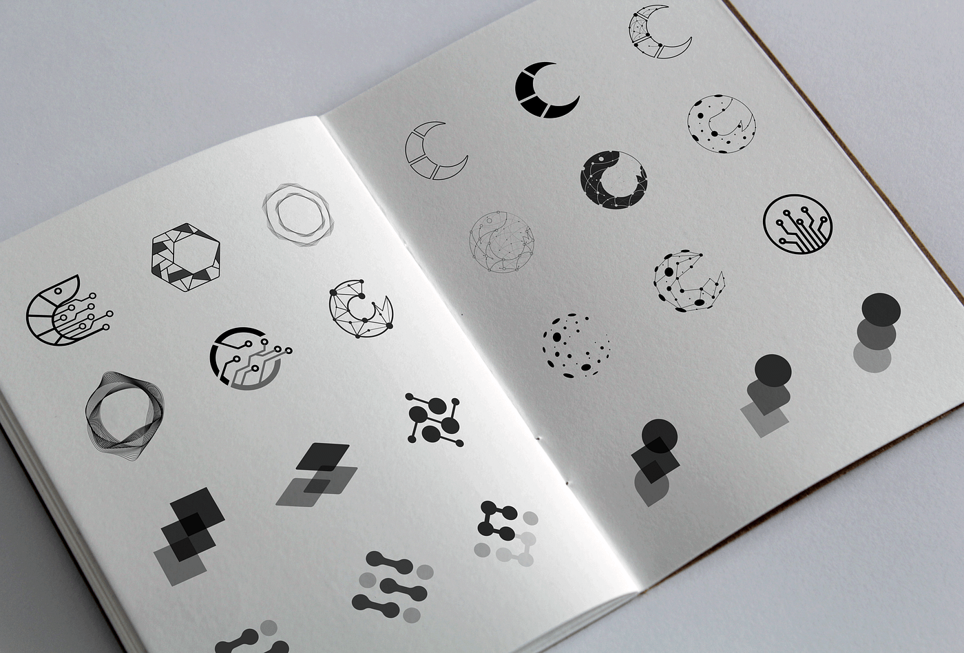 Shrimpy: Logo Redesign. Shrimpy is a fast-paced dynamic startup… | by  ShrimpyApp | The Startup | Medium
