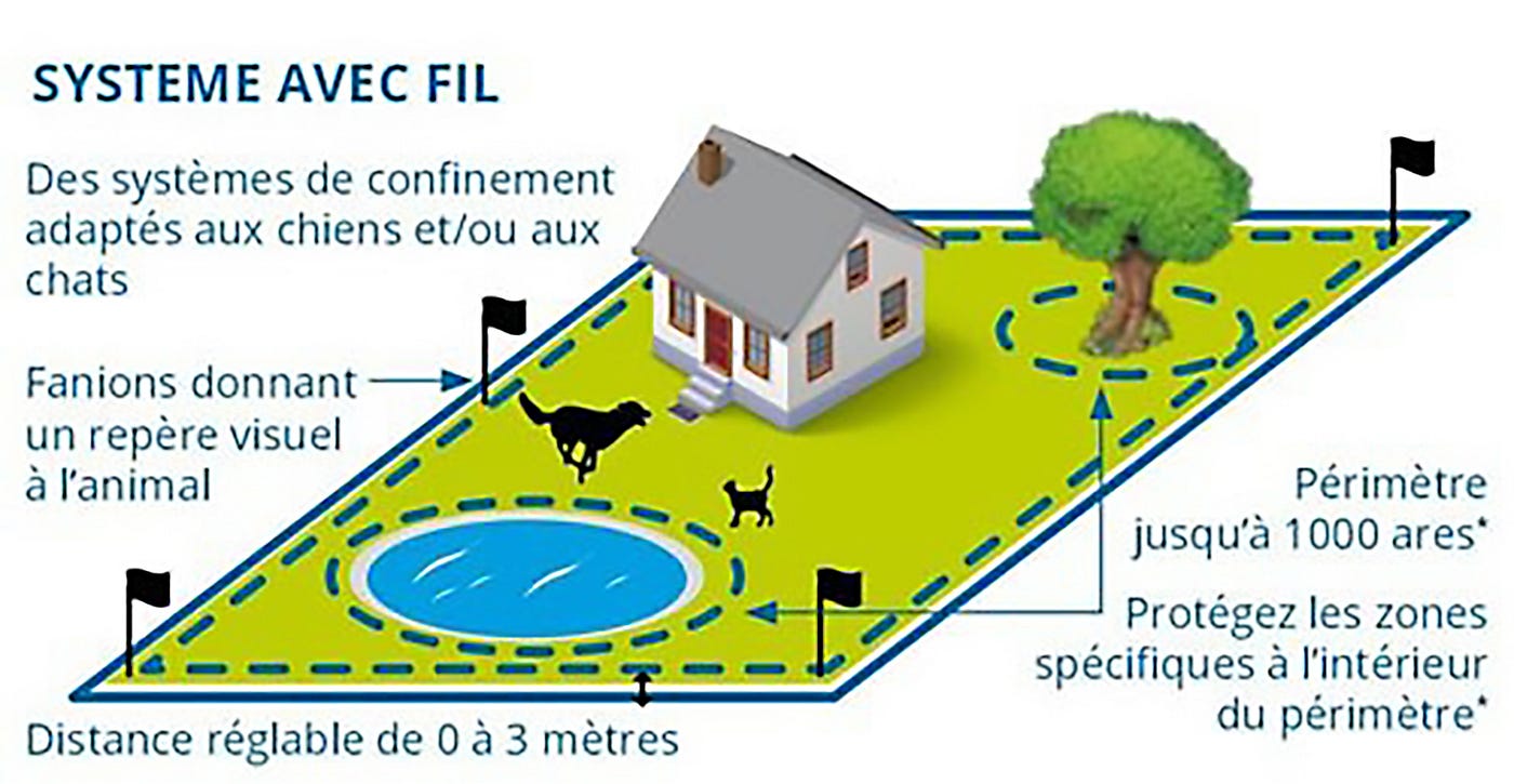 How Much To Install Invisible Dog Fence at Fannie Williams blog