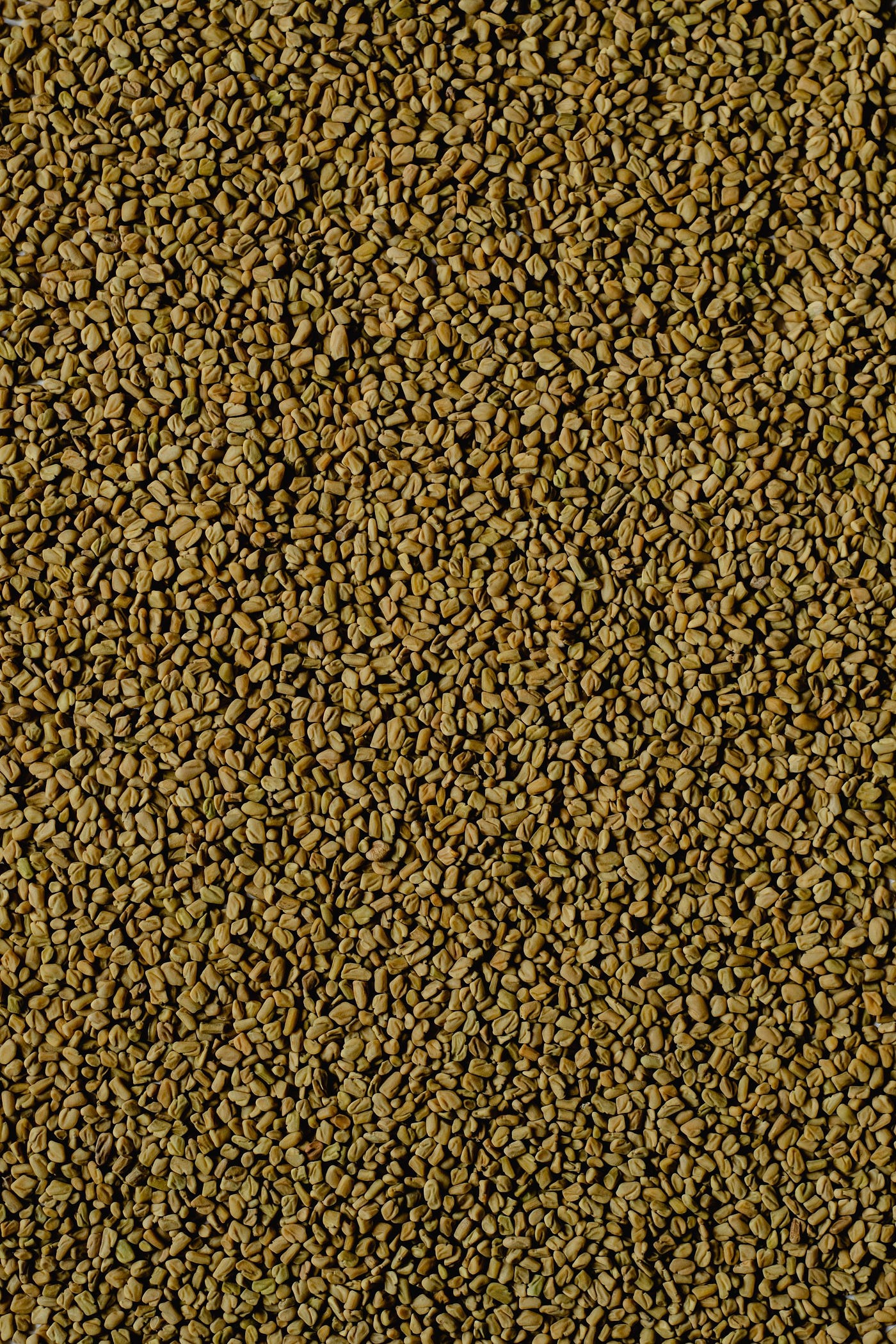13 Medicinal Benefits of Fenugreek seeds by CUREurSELF Medium