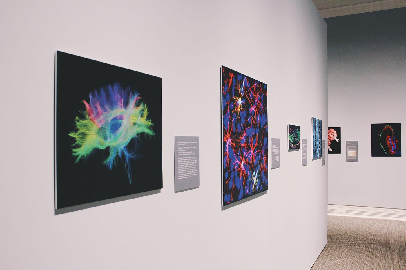 What is considered art and who decides by jeanette vane medium