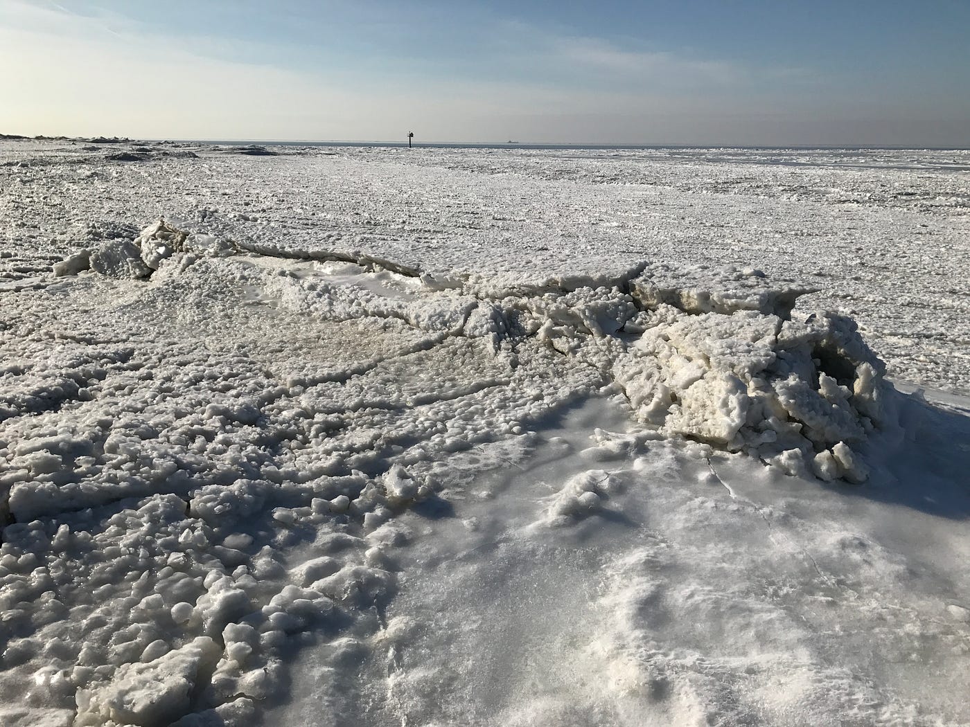 Learning from a living shoreline in Delaware Bay by James I. Miller