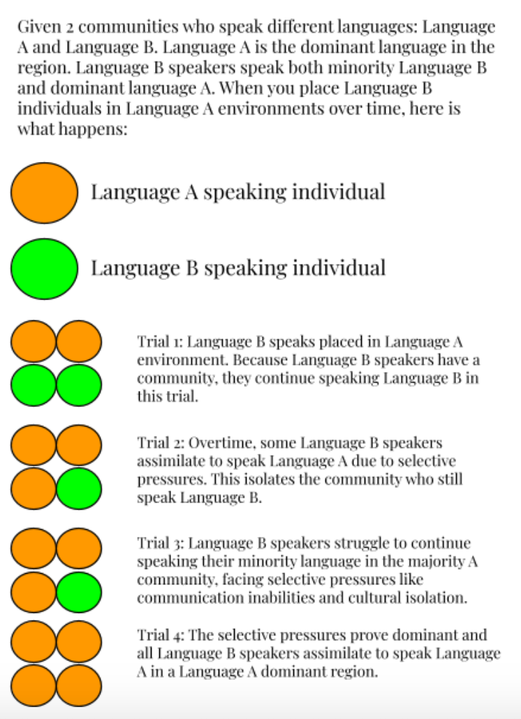 How Minority Language Shifts Affect Standardized Education Systems | By ...