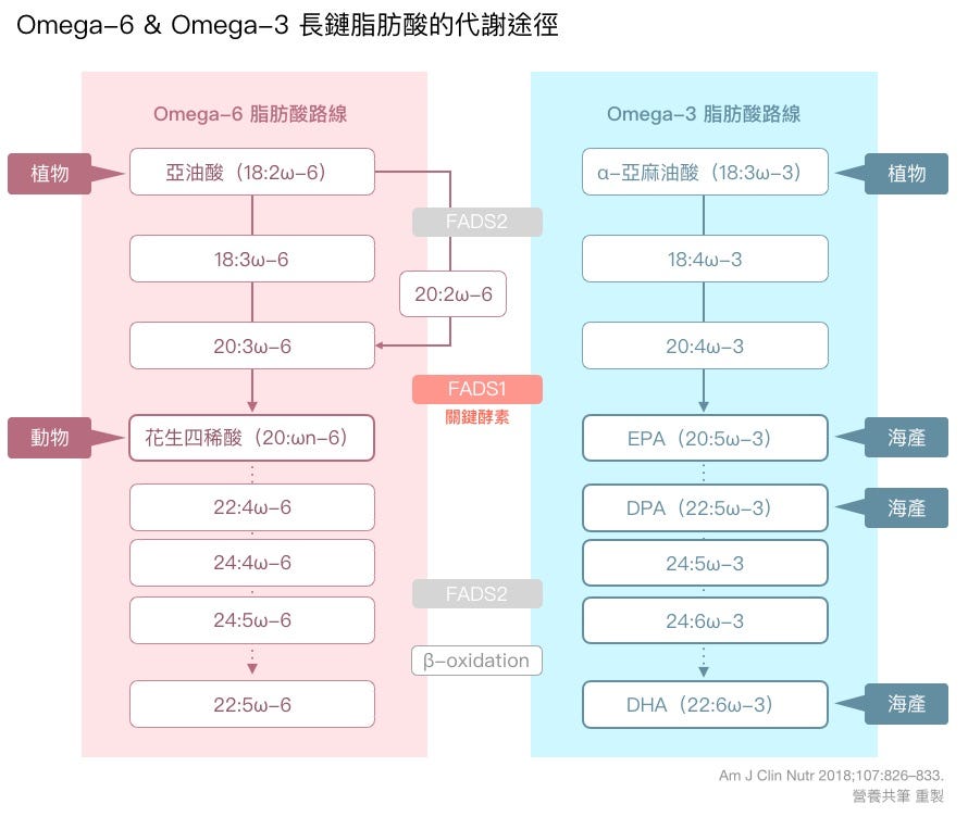 Omega 3 脂肪酸的代謝也是講天份的 你和因扭特人誰比較需要吃魚油 By Sidney 營養共筆 Medium