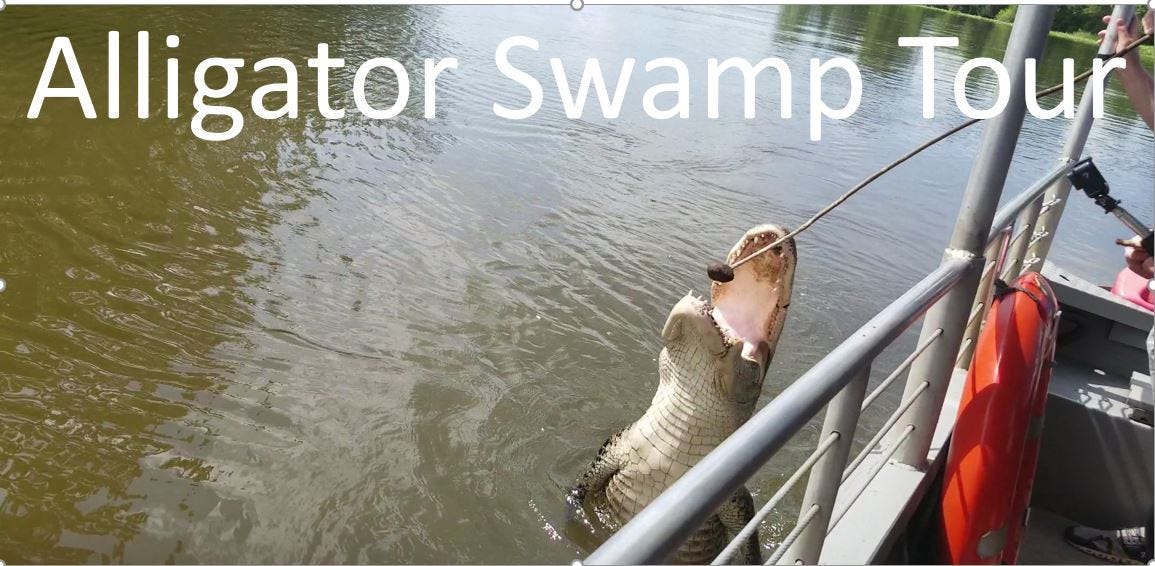New Orleans Alligator Swamp Boat Tour Toni Toni Kitchen Medium