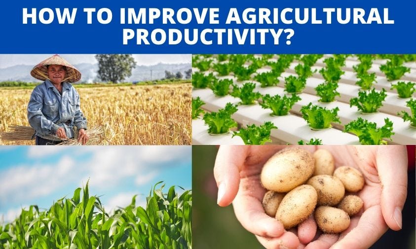 How to improve Agricultural Productivity? by Ankit Singh Medium