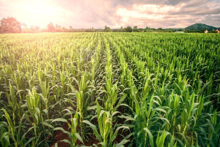 Crop Selection by Machine Learning by Pragnya Konakalla AITS