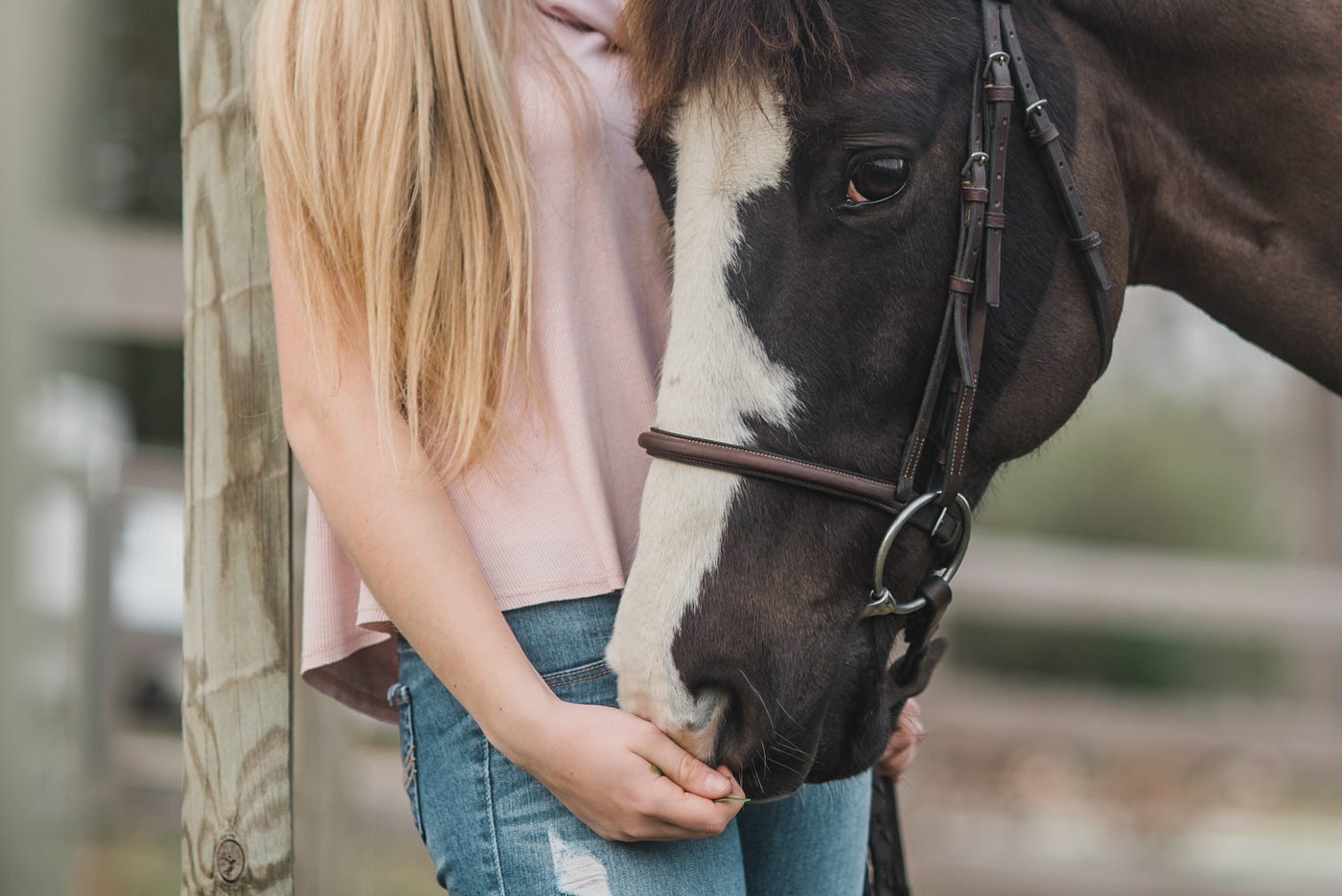 Horse and girl; equestrian; horseback riding