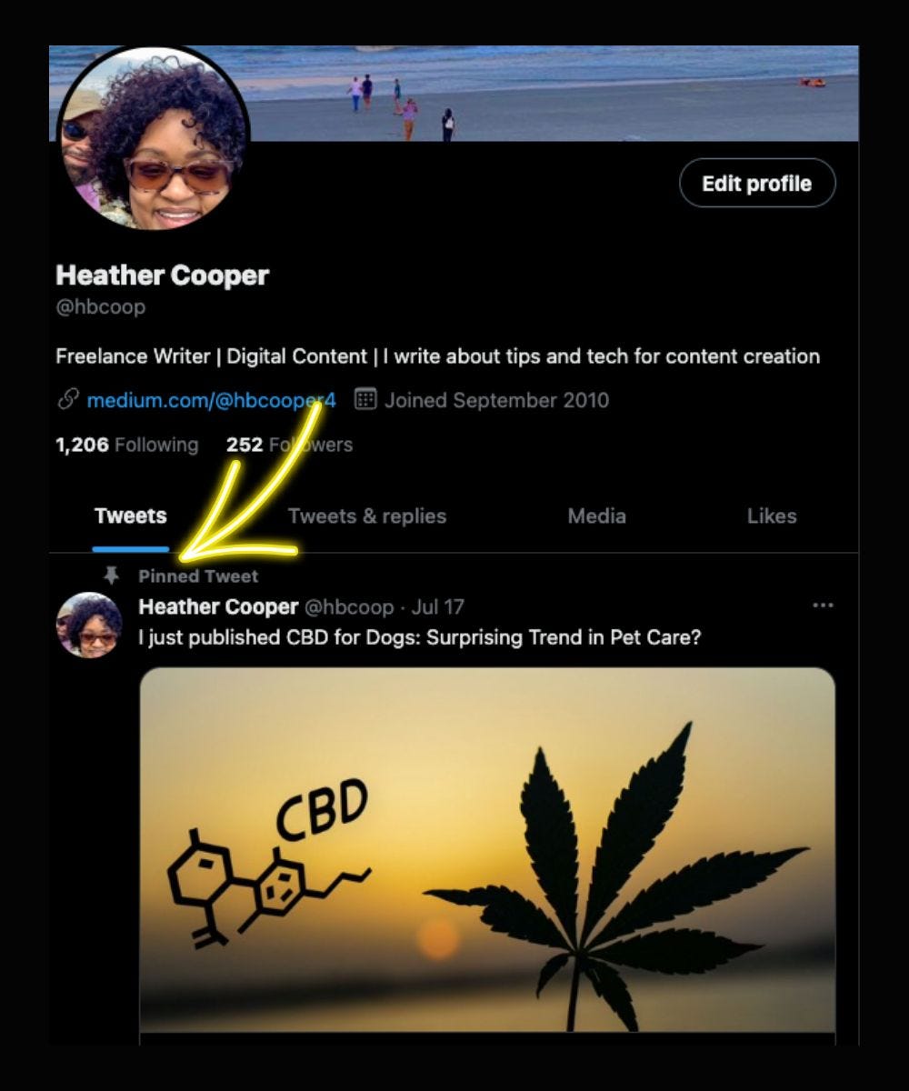 How to Pin a Tweet to Your Profile to Boost Your Brand Marketing by Heather Cooper Jul, 2022