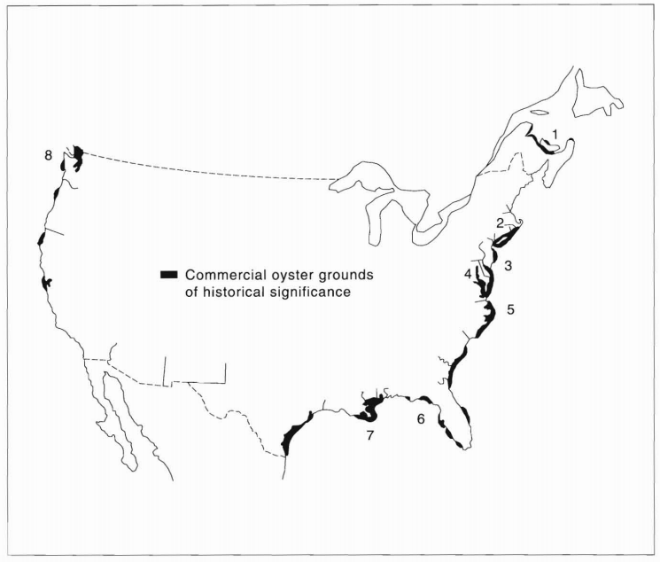 The Rise and Fall of the American Oyster and Why It’s Important Now