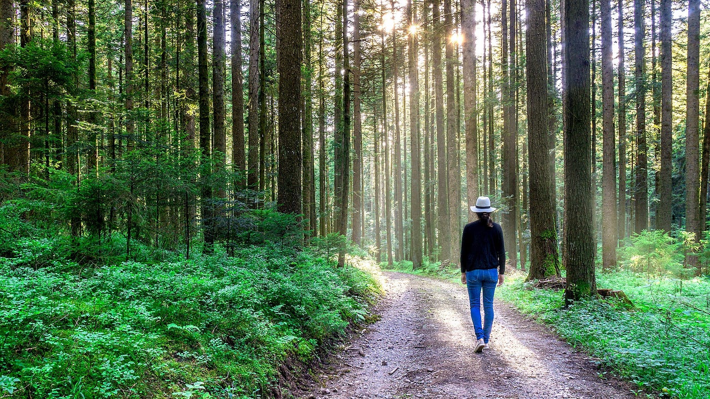 Image: person walking in the woods