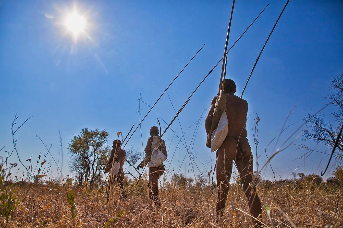 Bushmen Philosophies To Live By Clive Horlock Shares Lessons Learnt… By Wild Ark Wildark