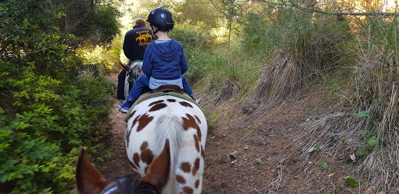 A grown-up and a child riding on horses through some woods.