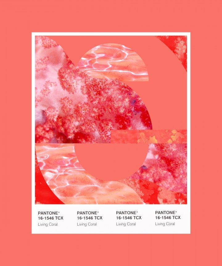 You Know Nothing About Pantone Color It S Time To Learn By Onyx Boox Medium