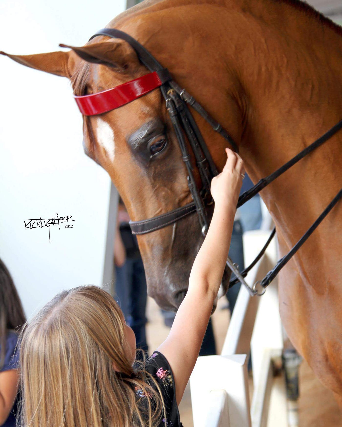 Why Young Girls Love Horses. There really is no explanation for it