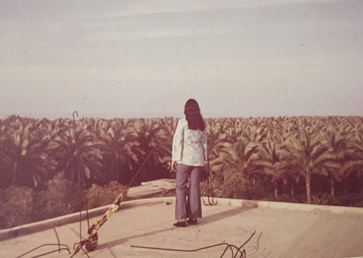 A photograph of a woman with long, dark hair, with her back to the camera, looking out over a series of palm trees.