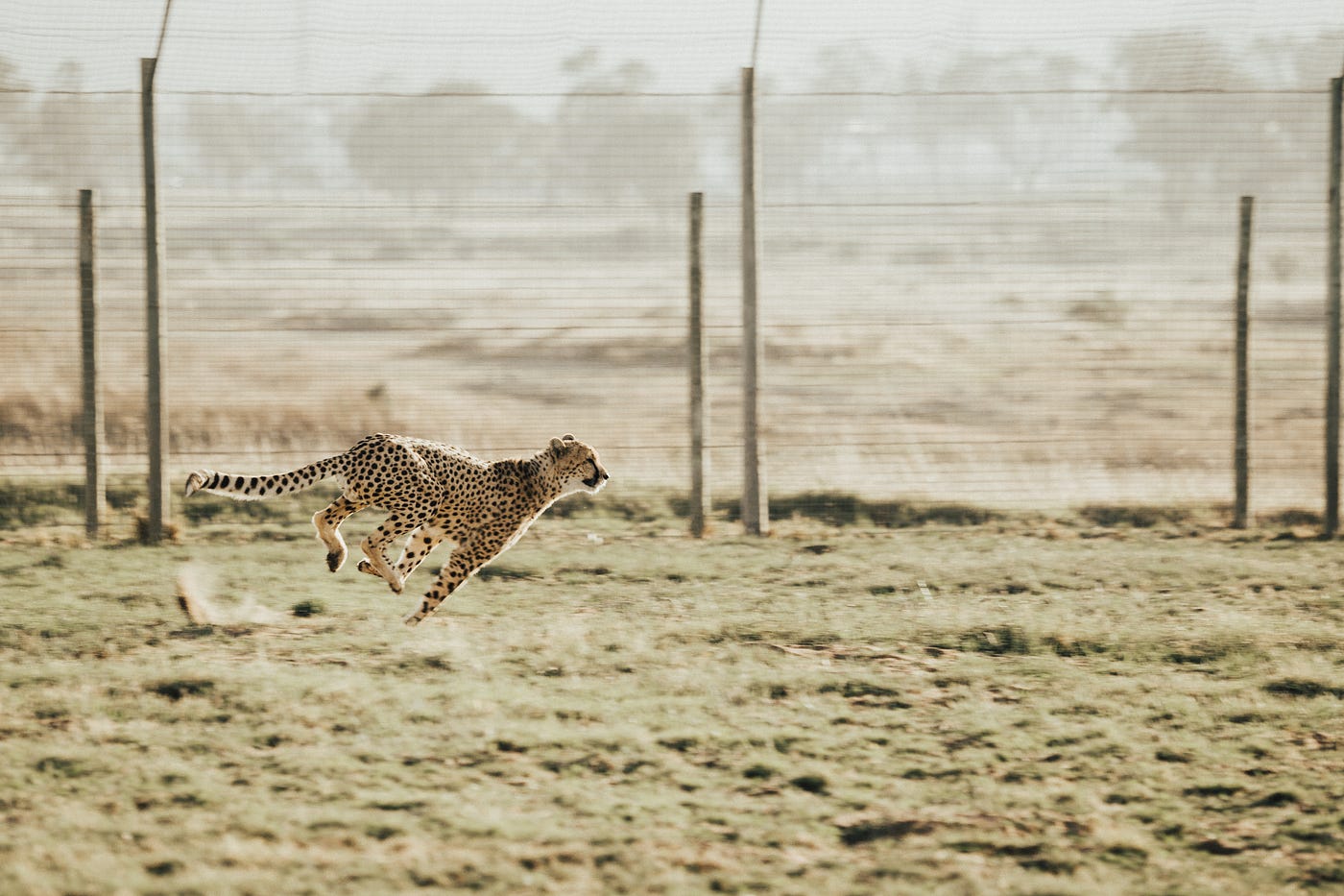 13 Tips to Write Faster, Better-Optimized JavaScript | by Bret Cameron |  Medium