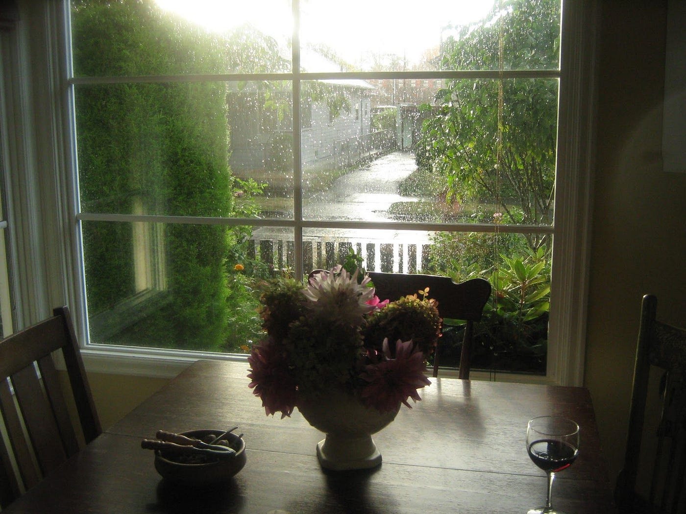 wet and muddy garden